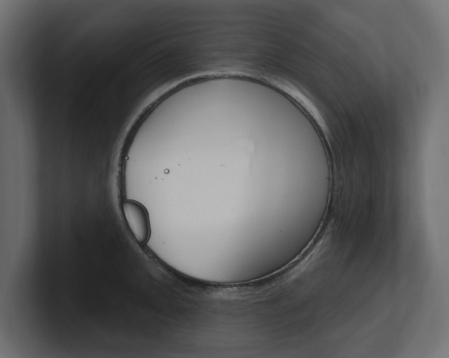 X0000101231093200806270940