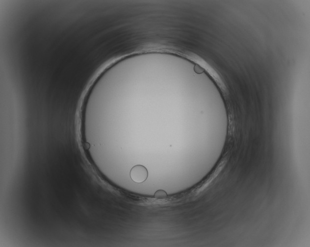 X0000101231094200806270940