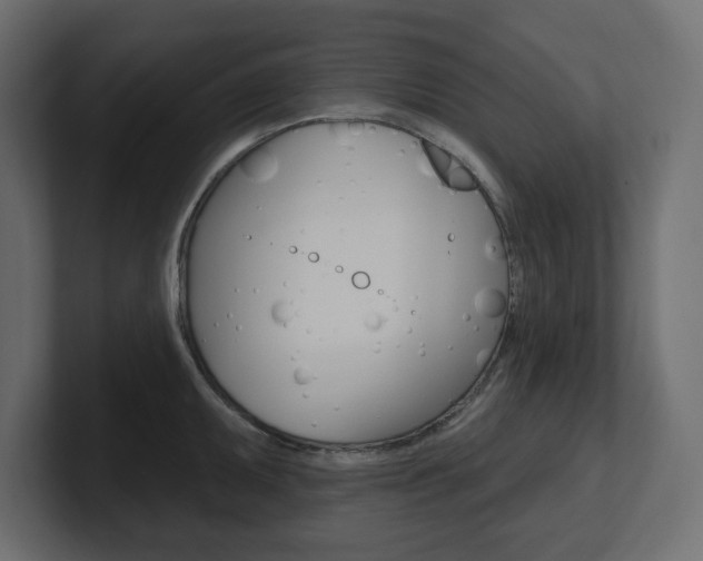 X0000101231095200806270940