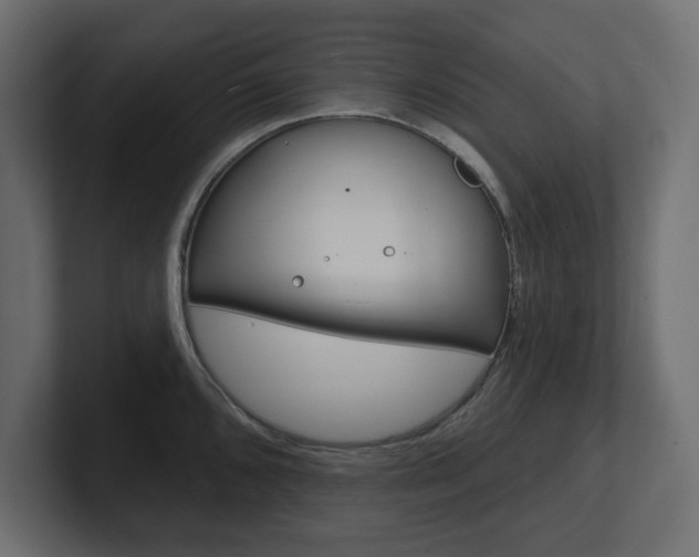 X0000101231096200806270940