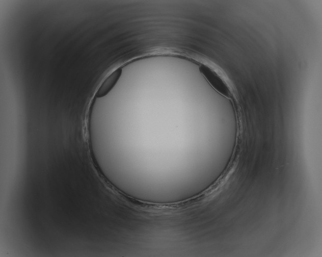 X0000101231097200806270940