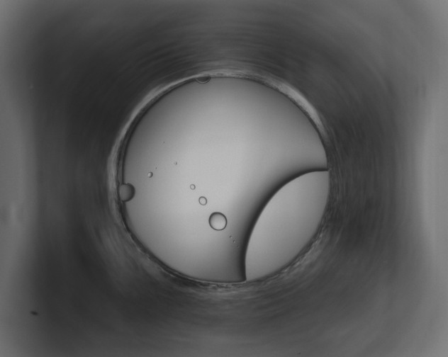 X0000101231099200806270940