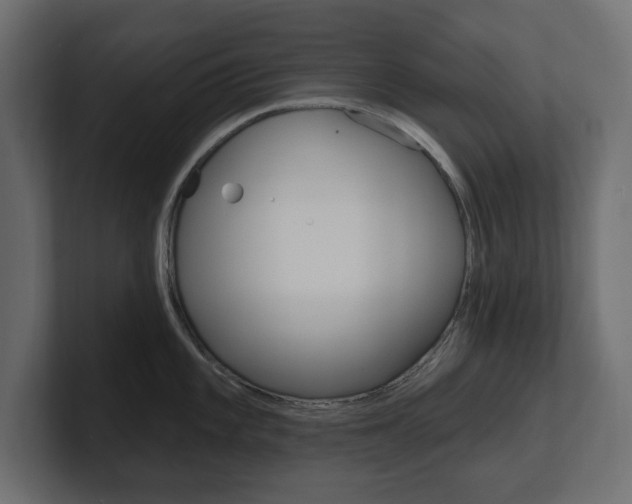 X0000101231101200806270940