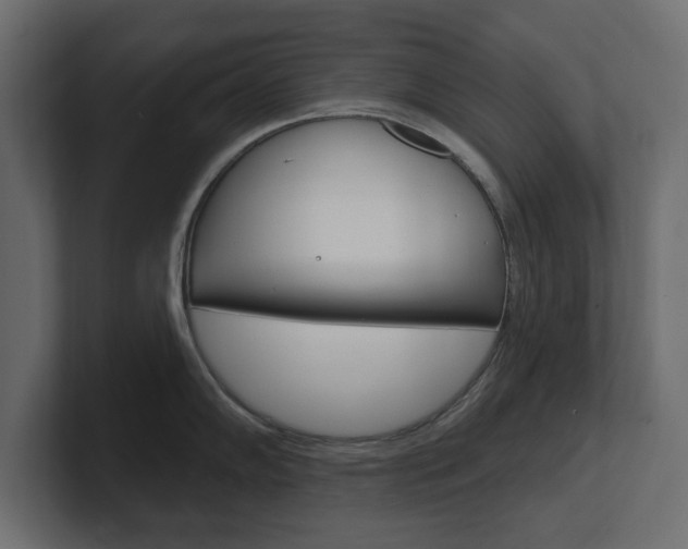 X0000101231102200806270940