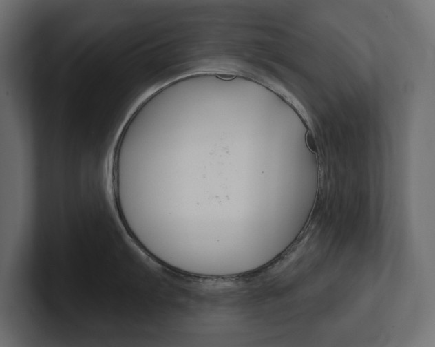 X0000101231103200806270940