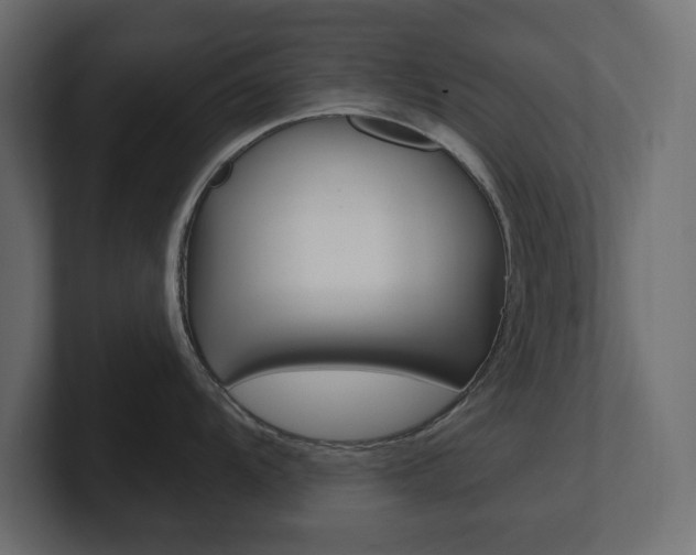 X0000101231104200806270940
