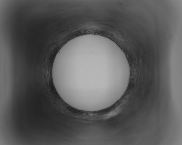 X0000101231109200806270940