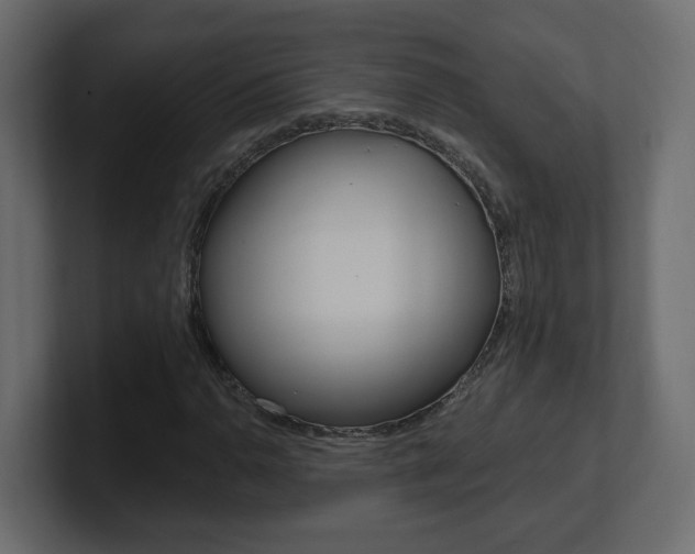 X0000101231110200806270940