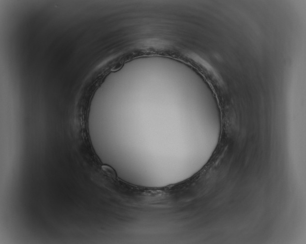 X0000101231112200806270940