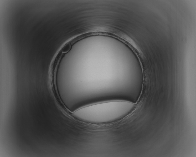 X0000101231116200806270940