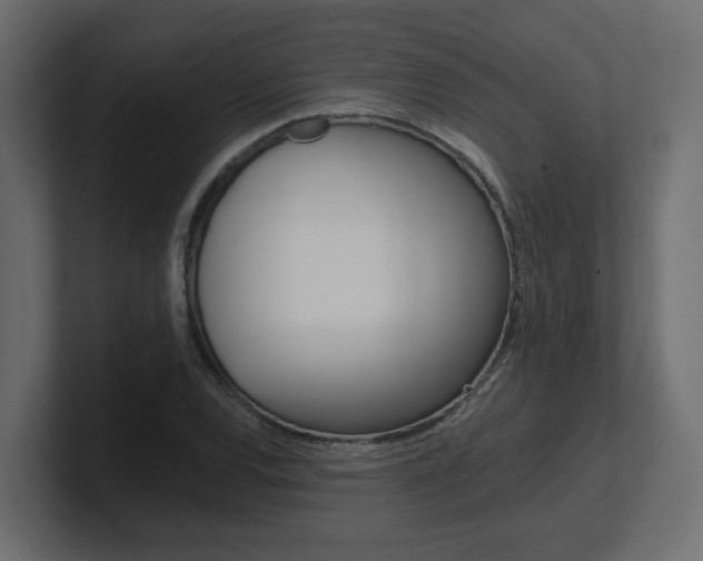 X0000101231120200806270940