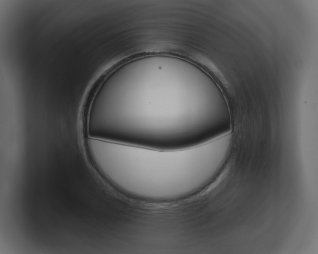 X0000101231122200806270940