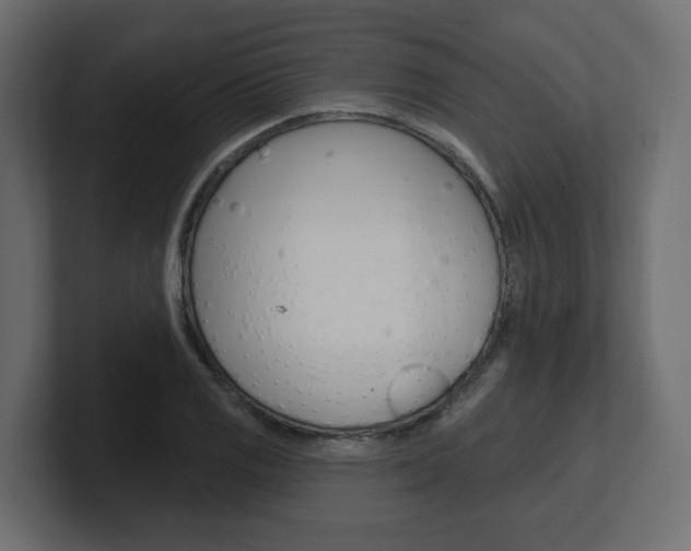 X0000101231125200806270940