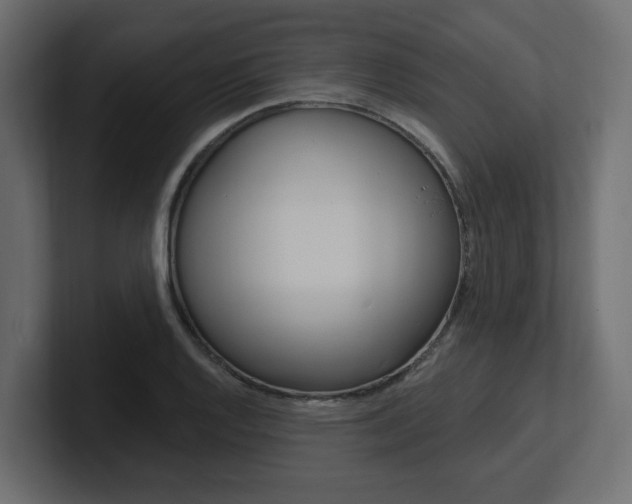 X0000101231128200806270940