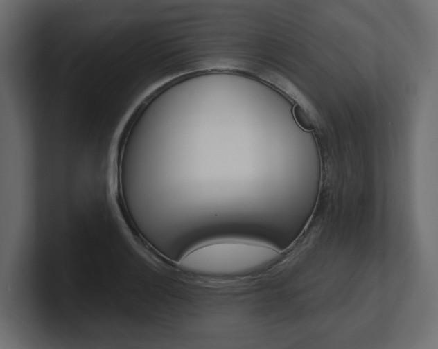 X0000101231132200806270940