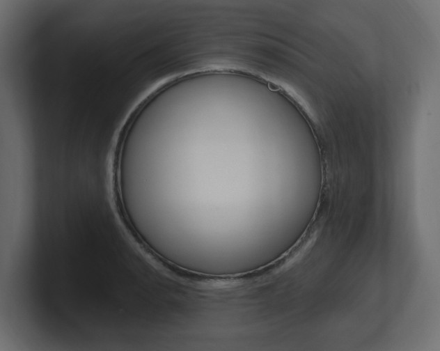 X0000101231134200806270940