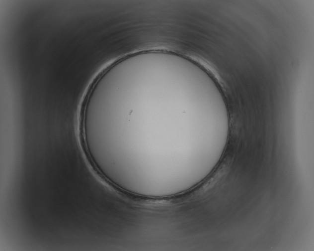 X0000101231135200806270940