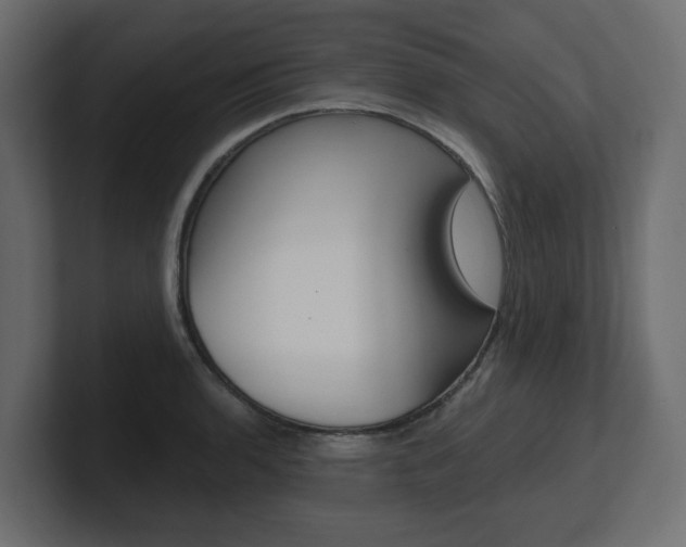 X0000101231136200806270940