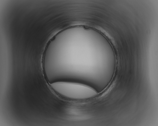 X0000101231137200806270940