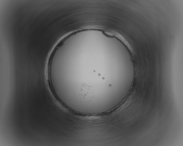 X0000101231140200806270940