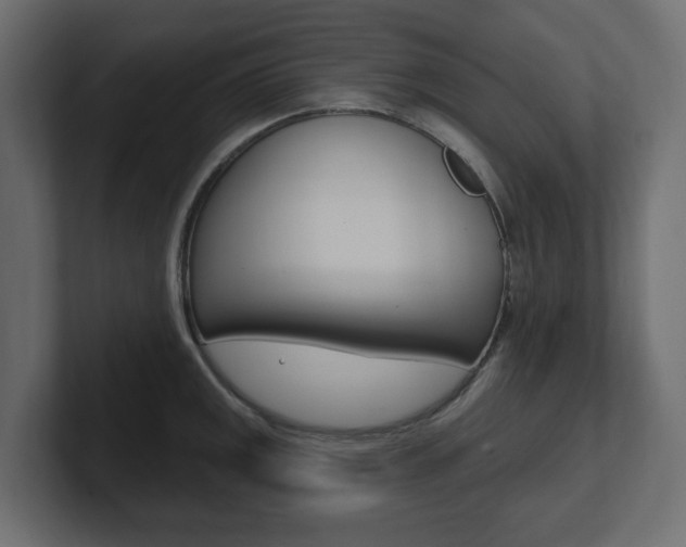 X0000101231141200806270940