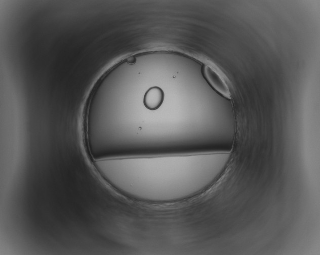 X0000101231142200806270940