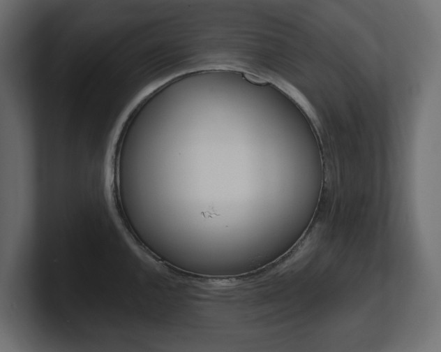 X0000101231144200806270940