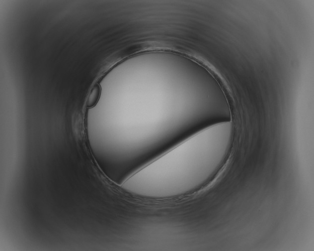 X0000101231145200806270940