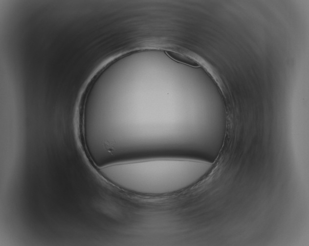X0000101231147200806270940