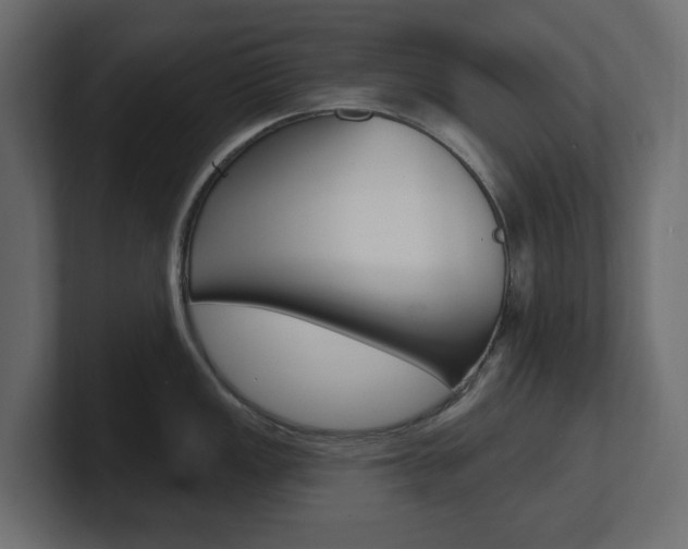 X0000101231149200806270940