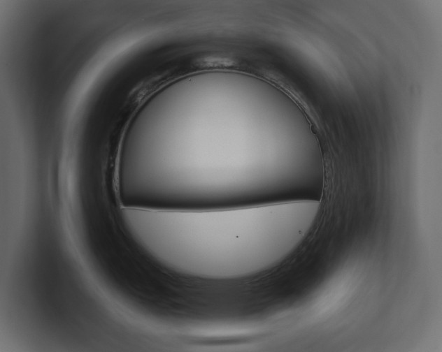 X0000101231151200806270940