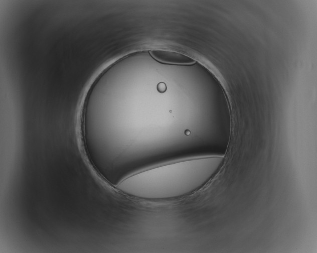 X0000101231152200806270940