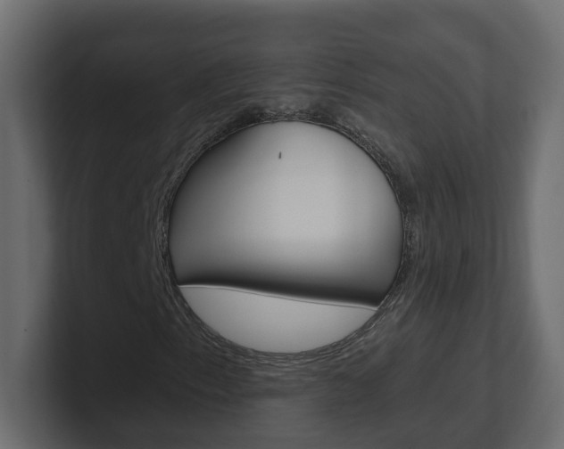 X0000101231153200806270939