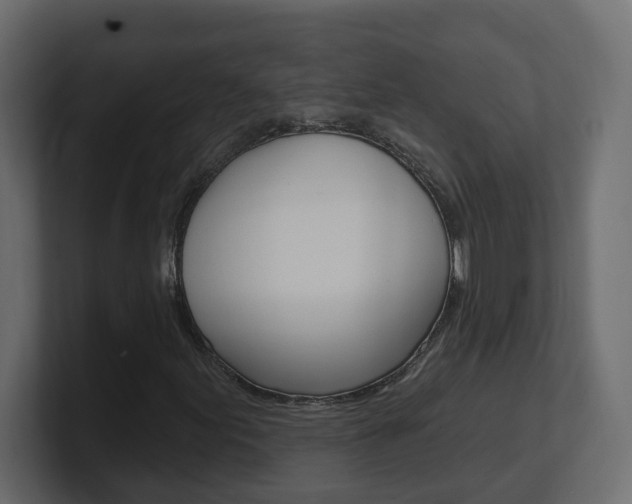 X0000101231155200806270939