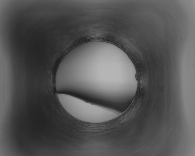 X0000101231156200806270939