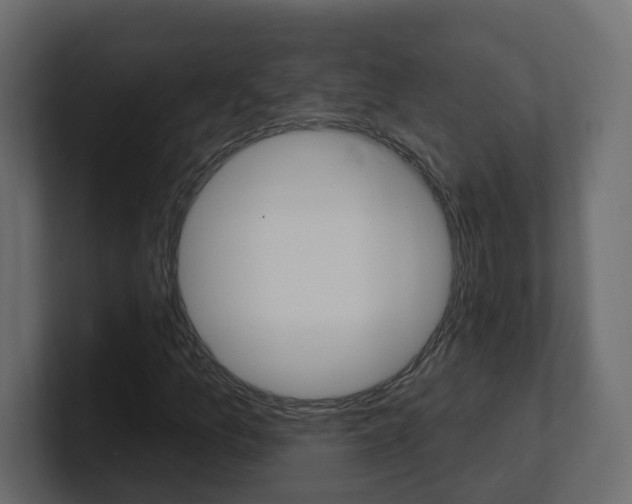 X0000101231157200806270939