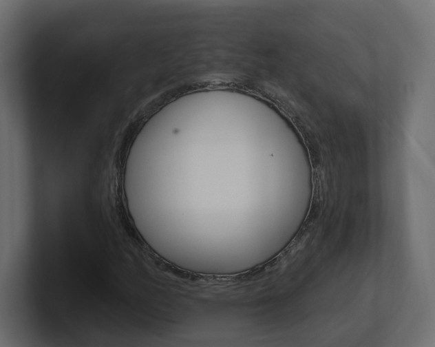 X0000101231158200806270939