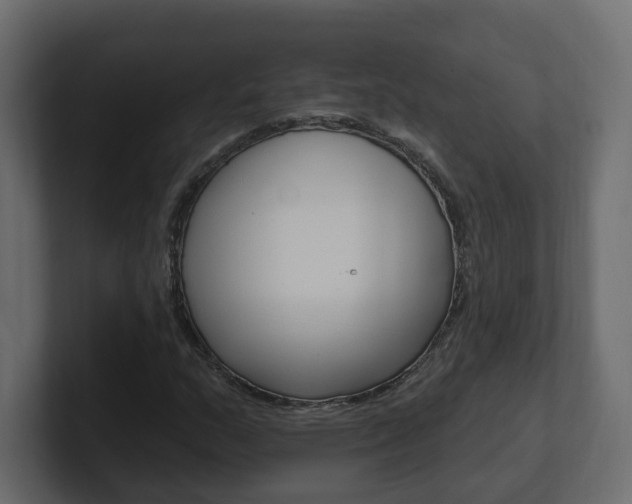 X0000101231159200806270939