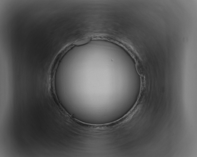 X0000101231165200806270939