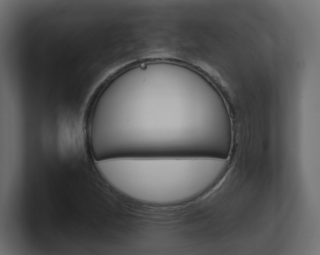 X0000101231167200806270939