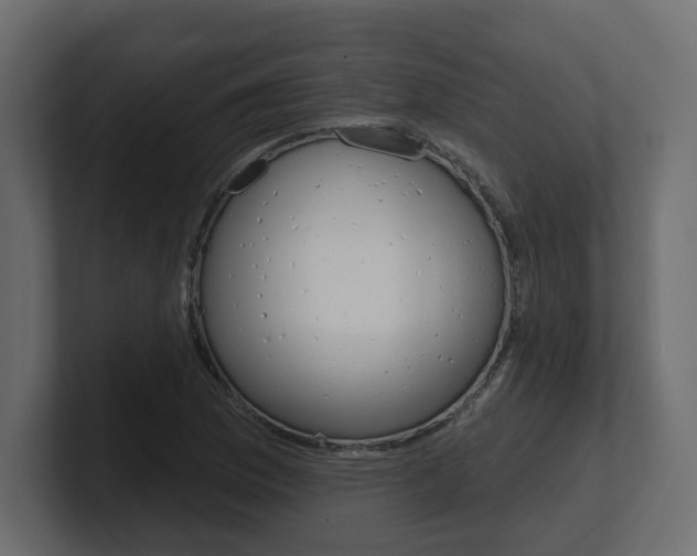 X0000101231169200806270939