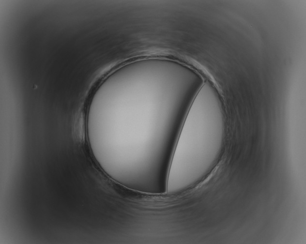 X0000101231171200806270939