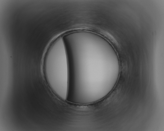 X0000101231172200806270939