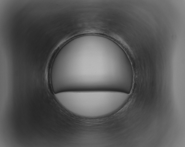 X0000101231173200806270939