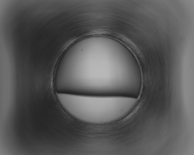 X0000101231177200806270939