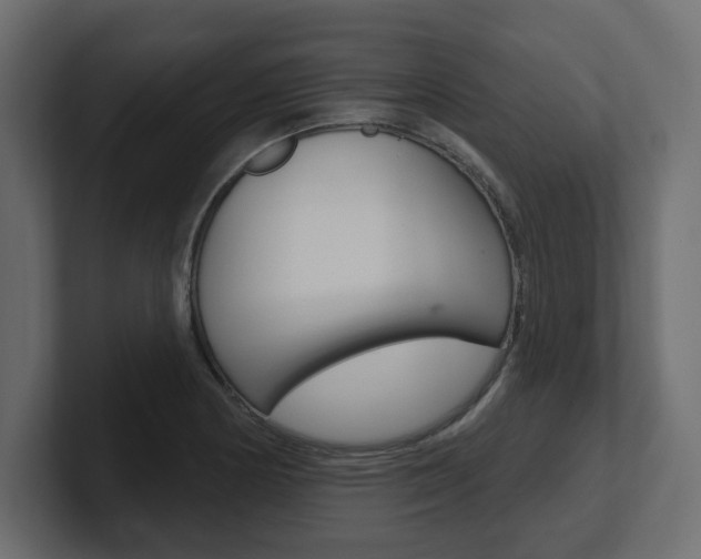 X0000101231178200806270939