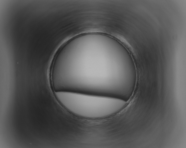 X0000101231181200806270939