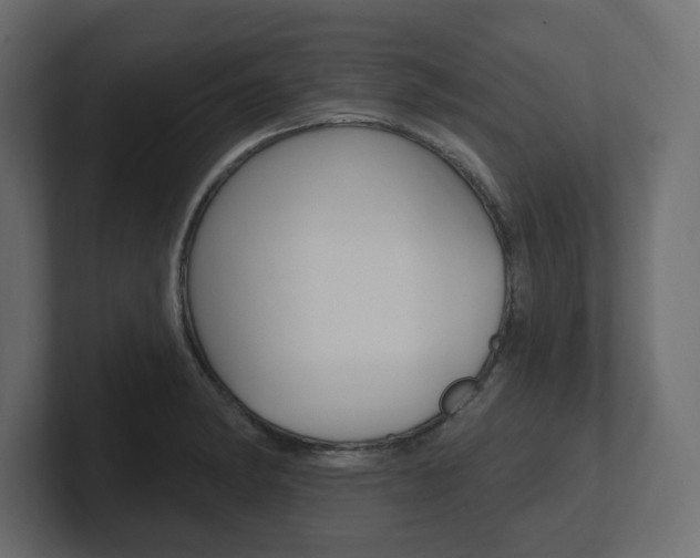 X0000101231182200806270939