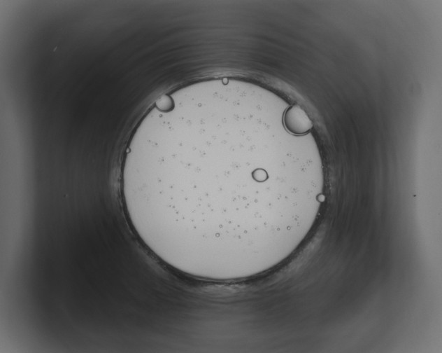 X0000101231185200806270939