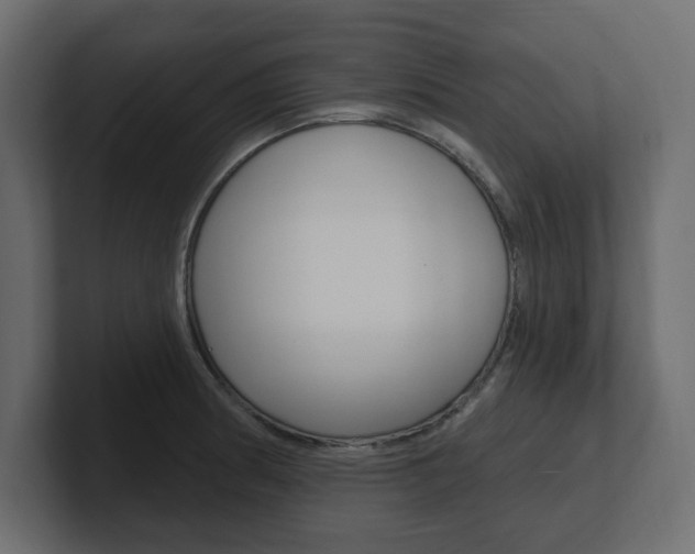 X0000101231186200806270939